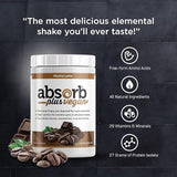 Absorb Plus Vegan Mocha - 1kg tub