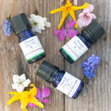 Gut Repair Kit™ | Vibrant Blue Oils