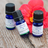 Gut Repair Kit™ | Vibrant Blue Oils